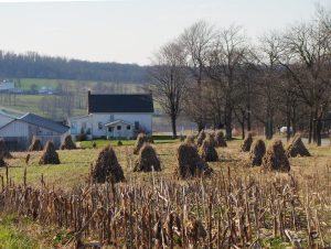 Amish community in Pennsylvania