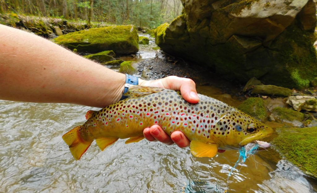 Fishing in PA