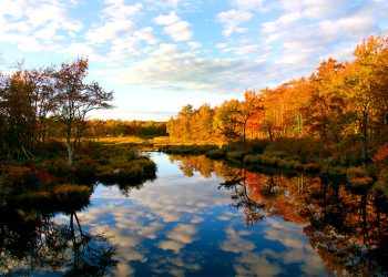Pocono Mountains Lakes: Popular Lakes for Swimming and Beach Activities