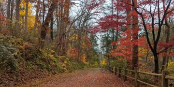 Fall Foliage: Best Locations for Leaf-Peeping and Autumn Hikes in Pennsylvania