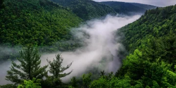 7 Natural Wonders in Pennsylvania: Uncovering Nature’s Hidden Gems