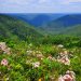 Sproul State Forest: Pennsylvania’s Hidden Wilderness Sanctuary