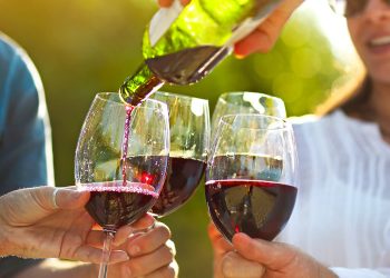 Wine Trails and Tasting Events in Pennsylvania: A Guide to the Keystone State’s Most Rewarding Sip-and-Explore Experiences