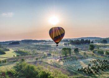 Chester County: Suburban Amenities, Family-Friendly Communities, and Local Schools