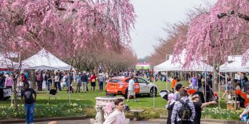 Philadelphia Cherry Blossom Festival: Everything You Need to Know About Philly’s Most Beautiful Spring Tradition