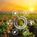 The Future of Agriculture in Pennsylvania: Embracing Innovation and Sustainability