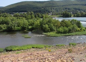 The Susquehanna River Walk: Explore Harrisburg’s Scenic Waterfront