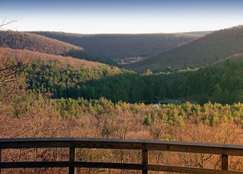 Exploring the Hidden Gem of McCalls Dam State Park