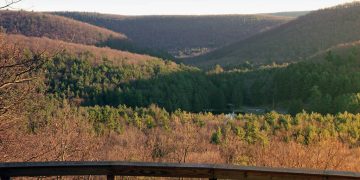 Exploring the Hidden Gem of McCalls Dam State Park