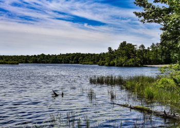 Gouldsboro State Park: A Hidden Gem in Pennsylvania’s Poconos