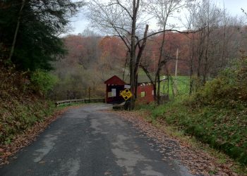 Hillman State Park: Ecological Reclamation and the Spirit of Place