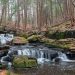 Serenity Found: The Beauty of Maurice K. Goddard State Park