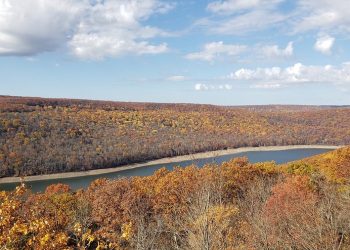 Sand Dune in the Allegheny National Forest