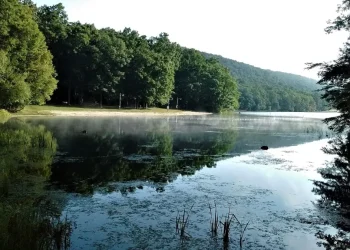 Locust Lake State Park: Where the Coal Veins End and the Golden Mist Begins