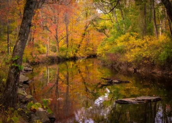Ridley Creek State Park: Pennsylvania’s Verdant Sanctuary