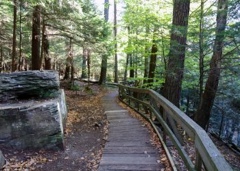 Hidden Pennsylvania: The Secret Soul of Salt Springs State Park