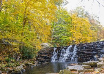 Laurel Hill State Park: Pennsylvania’s Rugged Retreat in the Laurel Highlands