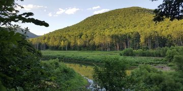 Little Pine State Park: A Pennsylvania Wilds Escape