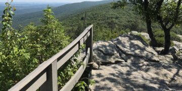 Hawk Mountain Sanctuary: Where Conservation History Took Flight