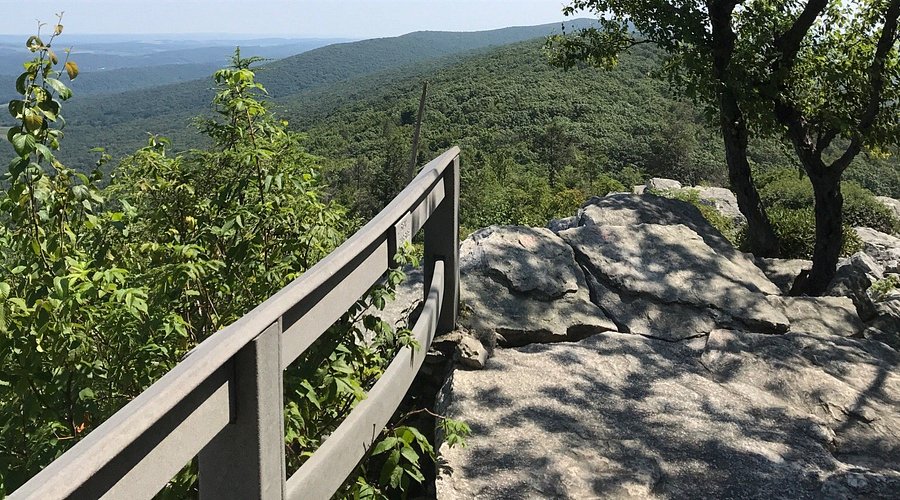 Hawk Mountain Sanctuary