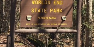 World’s End State Park: Pennsylvania’s Hidden Gorge of Wonder